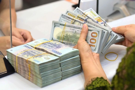 Tỷ giá USD hôm nay 26/9: Bứt phá nhờ dữ liệu việc làm tích cực