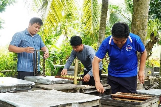 Mô hình nuôi giống con "vàng đen" độc đáo giúp nông dân Cần Thơ thu hàng tấn thành phẩm, lợi nhuận cả trăm triệu mỗi tháng
