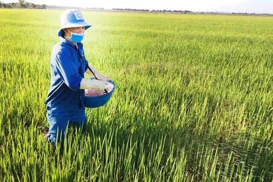 Đã đến lúc định giá lại cổ phiếu của 2 “đầu tàu” ngành phân bón