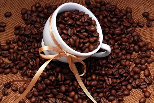 Giá cà phê hôm nay 29/9: Đi ngang, thị trường quốc tế “sốt ruột” trước căng thẳng Mỹ – Brazi