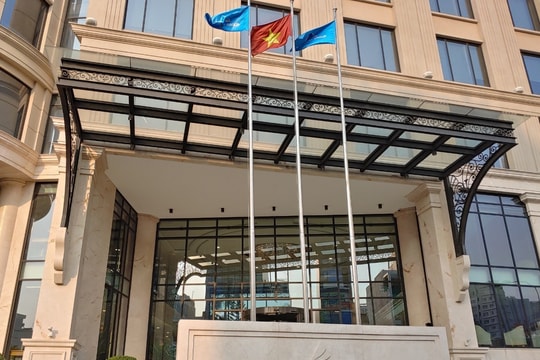 Dự án bán “cháy hàng”, Đất Xanh (DXG) được dự báo lợi nhuận quý 3 tăng gần gấp đôi