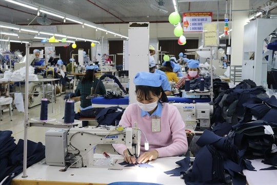 Doanh nghiệp được mệnh danh là ‘vua cổ tức’ nhận án phạt do vi phạm hải quan