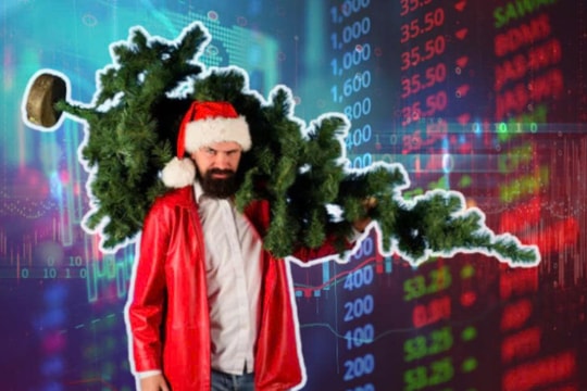 Một doanh nghiệp sàn HOSE chuyển hướng bán rượu sâm, cổ đông đón "giáng sinh" sớm