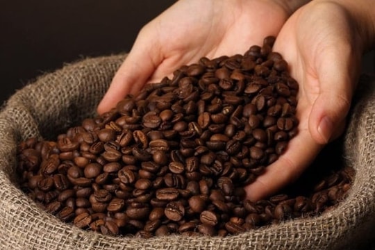 Giá cà phê hôm nay 2/10: Lâm Đồng tăng nhẹ, thị trường thế giới bật tăng trở lại