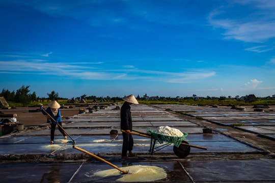 Ninh Bình phát triển du lịch trải nghiệm nghề muối, gìn giữ hồn quê ven biển