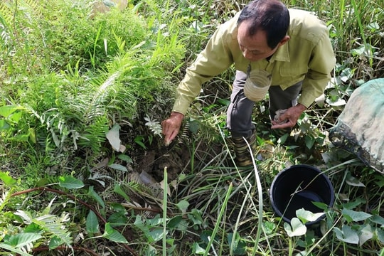 Từ thất bại chăn nuôi đến mô hình “con nhỏ mà không nhỏ”, nông dân Thanh Hóa đổi đời trên vùng đất ven sông, thu trăm triệu mỗi năm