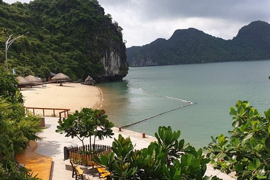 Một bãi biển bí ẩn giữa vịnh Hạ Long: Hoang sơ, xa hoa và đủ sức mê hoặc giới thượng lưu