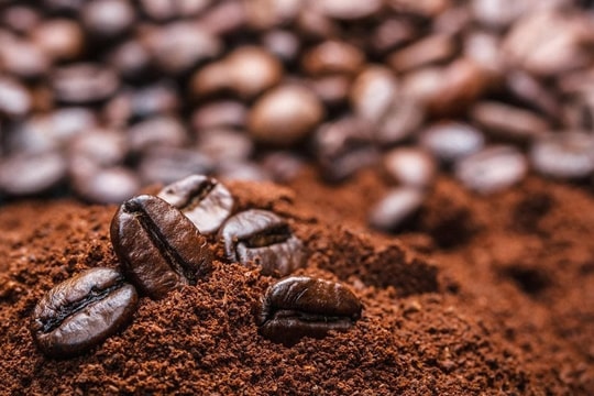 Giá cà phê hôm nay 4/10: Giảm mạnh trong nước, xuất khẩu vẫn lập kỷ lục