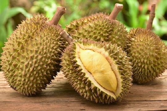 Giá sầu riêng hôm nay 4/10: Tăng mạnh tại nhiều vùng, có nơi lên tới 10.000 đồng/kg