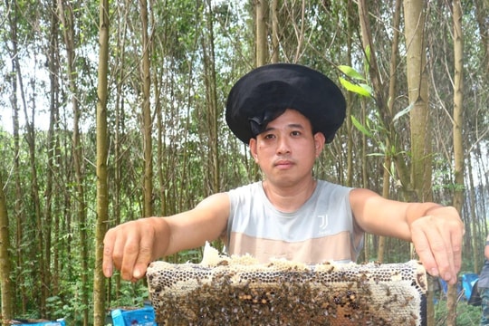 Người dân miền núi Nghệ An vươn lên làm giàu nhờ tận dụng “vốn tự có”