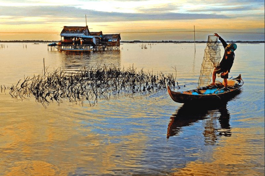 Cà Mau phát triển mô hình nuôi cua gắn với du lịch sinh thái, khai thác tài nguyên theo hướng bền vững