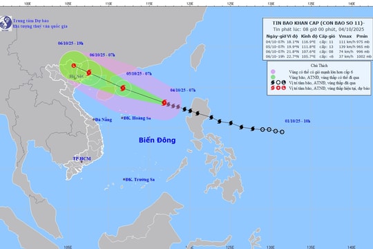 Thủ tướng Chính phủ yêu cầu chủ động ứng phó với cơn bão số 11
