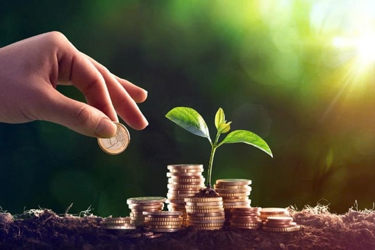 Thuỷ điện Gia Lai (GHC) chi gần trăm tỷ trả cổ tức, GEG bỏ túi hơn 60 tỷ