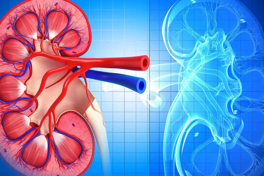 4 triệu chứng thường gặp vào ban đêm báo hiệu quả thận đang "kêu cứu"