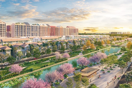 Cư dân Flora Avenue: Sống giữa sắc hoa, sống giữa cân bằng