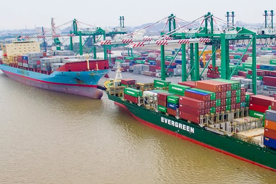 Viconship đưa ra quan điểm trước áp lực cạnh tranh từ siêu cảng 14 tỷ USD do Vingroup đề xuất