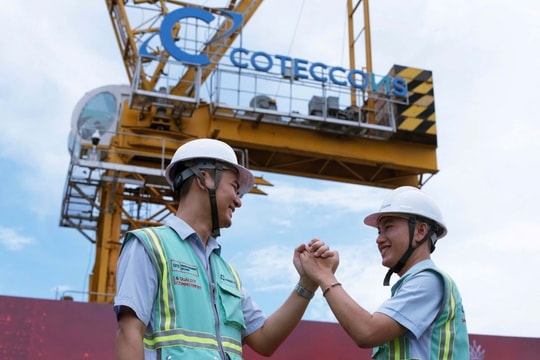 Trước động thái hiếm thấy, Chủ tịch Coteccons (CTD) lên tiếng trấn an cổ đông