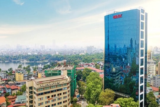 Cổ phiếu nhóm Gelex nổi sóng trong ngày thị trường có xu hướng điều chỉnh