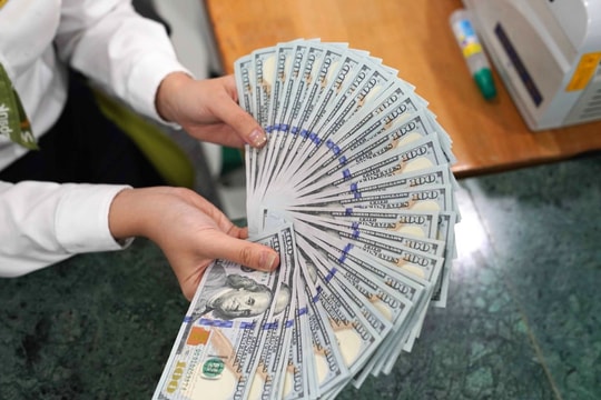 Tỷ giá USD hôm nay 14/10: Đồng bạc xanh tăng trở lại, thị trường ngoại hối bước vào tuần nhiều biến động