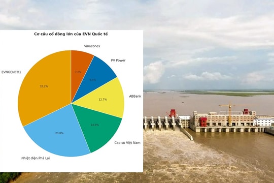 Doanh nghiệp điện lực liên quan Vinaconex giảm lãi gần 100%