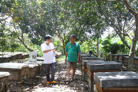 Khi nông dân Đồng Nai kiếm về doanh thu 25 tỷ đồng/năm từ “vàng ngọt” của thiên nhiên