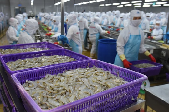 Nhận “tấm vé vàng” tại thị trường Mỹ, cổ phiếu thủy sản này được dự báo upside tới 26%