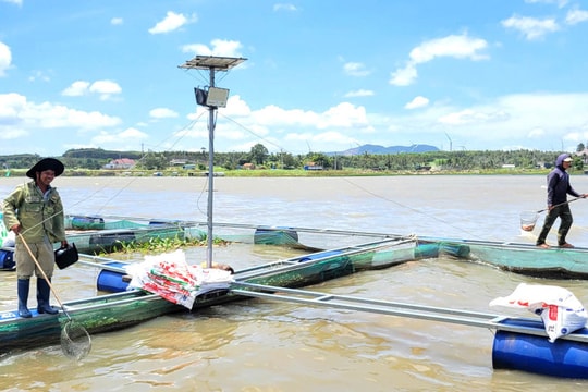 Người nông dân Gia Lai đang viết nên câu chuyện làm giàu từ dòng Sê San đến hồ An Khê – Kanak