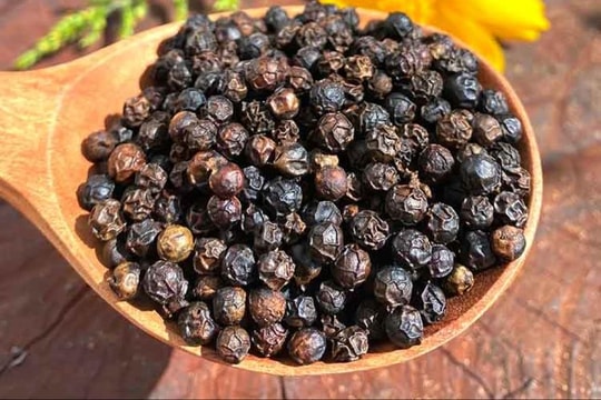 Giá tiêu hôm nay 19/10: Giảm nhẹ trong nước, hồ tiêu Việt thăng hạng nhờ xuất khẩu giá trị cao