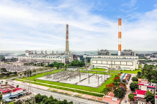 Doanh nghiệp điện có tiếng trên sàn HOSE  báo lãi 9 tháng giảm hơn 80%