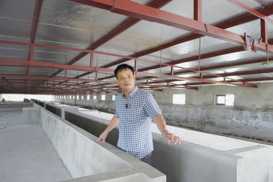 Đổi mới tư duy, nông dân Ninh Bình nuôi 70.000 con gà, 10.000 con lợn bằng điện thoại thông minh