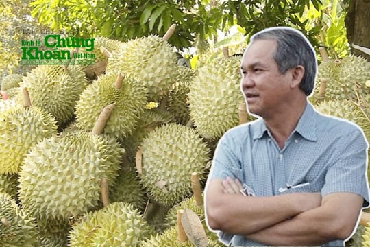 “Vựa trái cây” của Hoàng Anh Gia Lai đơm trái, dự kiến lãi hơn 2.500 tỷ đồng năm 2025