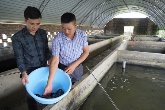 Hai người nông dân Hưng Yên xuất sắc, trở thành tỷ phú nhờ những bí quyết đặc biệt