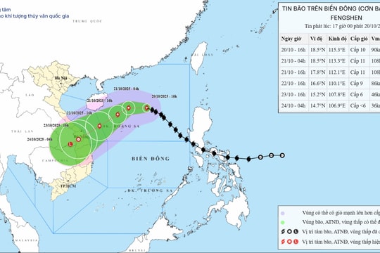 Thủ tướng Chính phủ yêu cầu chủ động ứng phó bão số 12 và mưa lũ