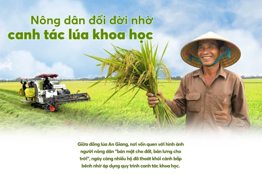 Nông dân đổi đời nhờ canh tác lúa khoa học