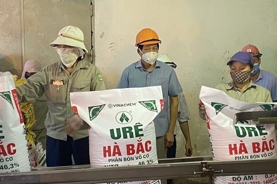 Đạm Hà Bắc (DHB) lý giải nguyên nhân giá urê tăng nhưng kết quả kinh doanh vẫn giảm