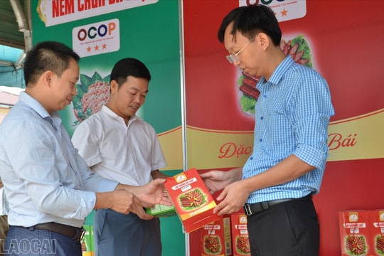 Nông dân Lào Cai học cách làm giàu từ bí quyết đặc biệt, có hộ kiếm về tới 400 triệu/năm