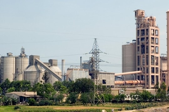 Kinh doanh đảo chiều, cổ phiếu doanh nghiệp xi măng xứ Nghệ tăng kịch trần 2 phiên