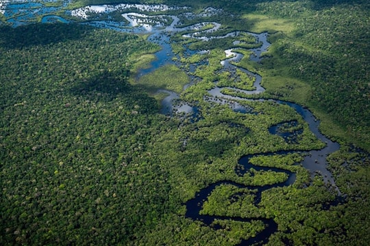 Khám phá khu rừng rộng 5,5 triệu km2, trải dài qua 9 quốc gia