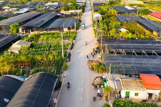 Hưng Yên sẽ đưa vùng đất nhỏ 14km2, nổi tiếng là "vựa hoa miền Bắc" vươn tầm đô thị xanh - hiện đại, người dân thu nhập 150 triệu/năm sau sáp nhập
