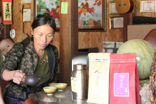 Giữa triền đồi heo hút, người nông dân Lào Cai đã ươm nên thương hiệu trà "đặc sản" giá trị hàng trăm triệu đồng