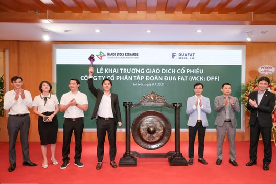 Nợ bảo hiểm xã hội 41 tháng, Đua Fat (DFF) của Chủ tịch Lê Duy Hưng đang làm ăn ra sao?