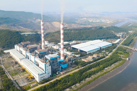 Lợi nhuận quý 3 giảm quá nửa, cổ phiếu một doanh nghiệp điện vẫn đang cho điểm mua vào