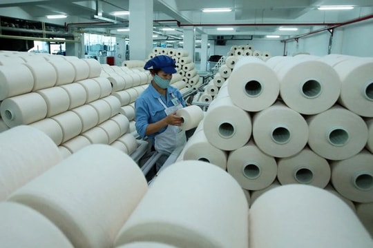 Cú trượt lợi nhuận 87% của Sợi Thế Kỷ (STK): Dự án Unitex đang là con dao hai lưỡi?