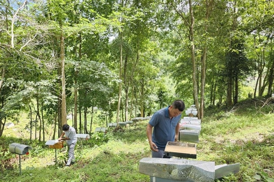 Thu đến 3 tỷ/năm, người nông dân Khánh Hòa đang làm giàu từ "thiên nhiên" như thế nào?