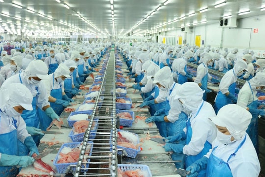 "Nữ hoàng cá tra" mất đà tại Mỹ, vẫn kiếm gần nghìn tỷ trong tháng 9