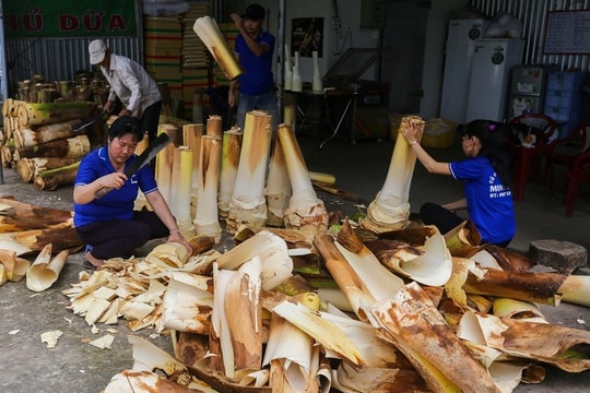 Nông dân miền Tây đổi đời, mua xe, cất nhà nhờ làm giàu từ món đặc sản dân dã mà thơm ngon