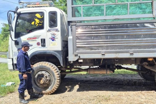 Nông dân Quảng Trị biến đồi hoang thành nơi kiếm ra 800 triệu - 1 tỷ đồng/năm