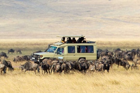 Được công nhận là Di sản Thiên nhiên Thế giới năm 1981, vùng đất rộng tới 30.000 km2 này có điều gì đặc biệt?