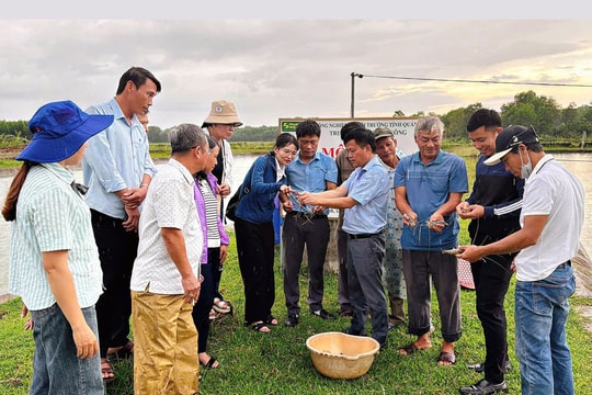 Nông dân Quảng Trị đổi đời nhờ nuôi "đặc sản càng xanh", lãi ròng đến 400 triệu đồng/ha