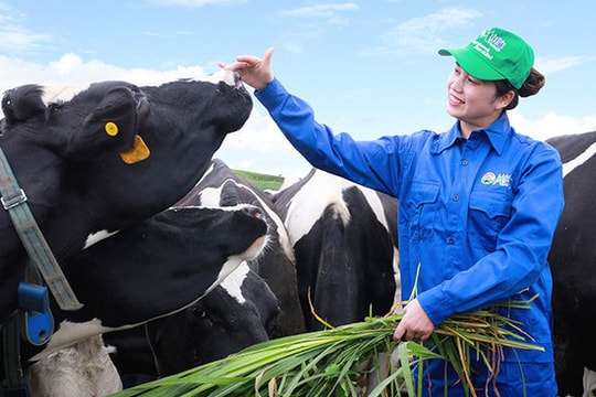Chi phí bán hàng bào mòn lợi nhuận, doanh nghiệp có tiếng ngành sữa vẫn chi trăm tỷ cho cổ đông